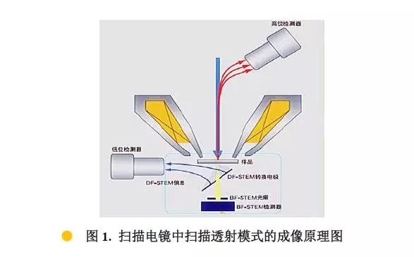 扫描电镜中的透射模式STEM成像原理